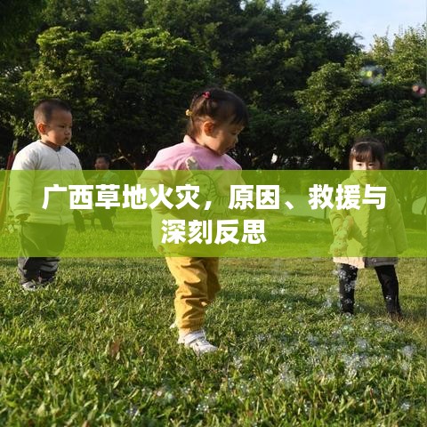 广西草地火灾，原因、救援与深刻反思