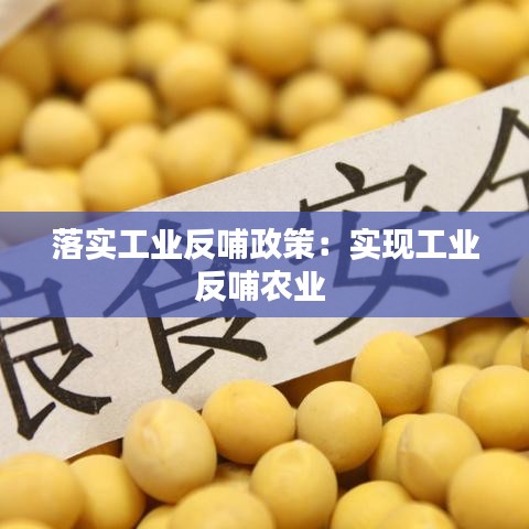 落实工业反哺政策：实现工业反哺农业 