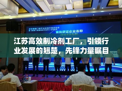 江苏高效制冷剂工厂，引领行业发展的翘楚，先锋力量瞩目之选