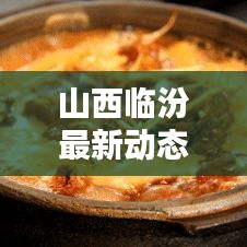山西临汾最新动态更新速递