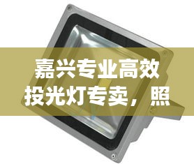 嘉兴专业高效投光灯专卖，照明解决方案领航者