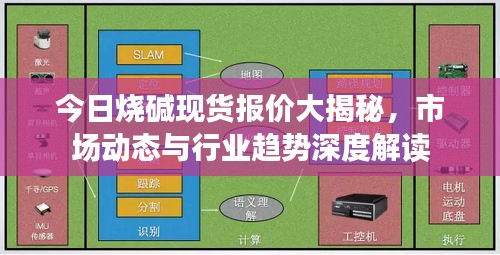 今日烧碱现货报价大揭秘，市场动态与行业趋势深度解读