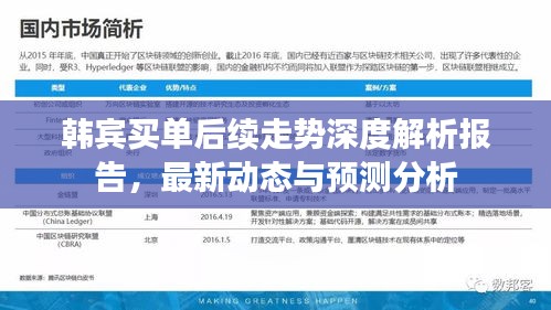 韩宾买单后续走势深度解析报告，最新动态与预测分析