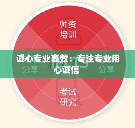 诚心专业高效：专注专业用心诚信 