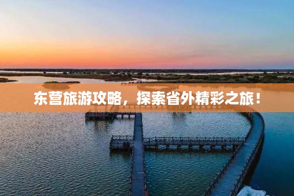 穷鸟入怀 第2页