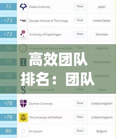 高效团队排名：团队top 