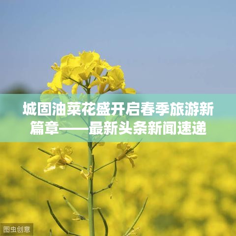 城固油菜花盛开启春季旅游新篇章——最新头条新闻速递