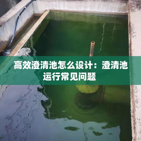 飞蛾扑火 第2页