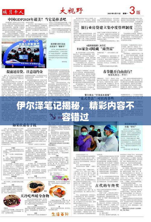 伊尔泽笔记揭秘，精彩内容不容错过