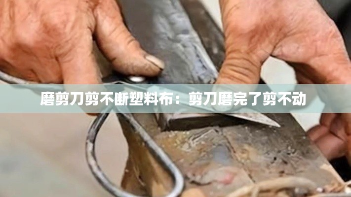 片口张舌 第2页