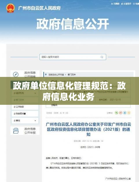 政府单位信息化管理规范：政府信息化业务 