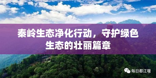 秦岭生态净化行动，守护绿色生态的壮丽篇章