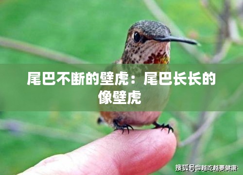 飞鸟惊蛇 第2页