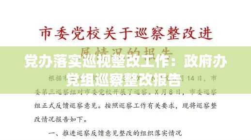 党办落实巡视整改工作：政府办党组巡察整改报告 