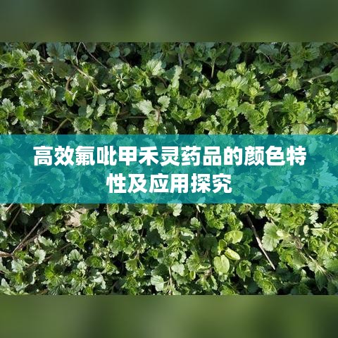 高效氟吡甲禾灵药品的颜色特性及应用探究