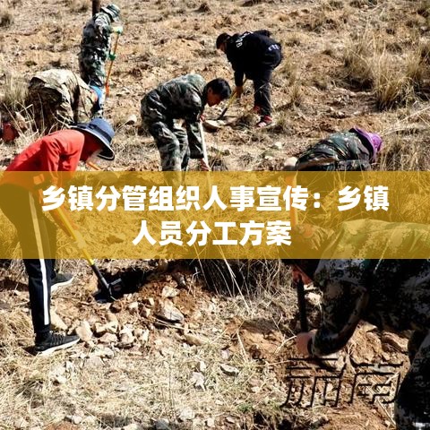 乡镇分管组织人事宣传：乡镇人员分工方案 