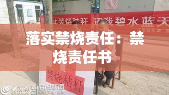 落实禁烧责任：禁烧责任书 