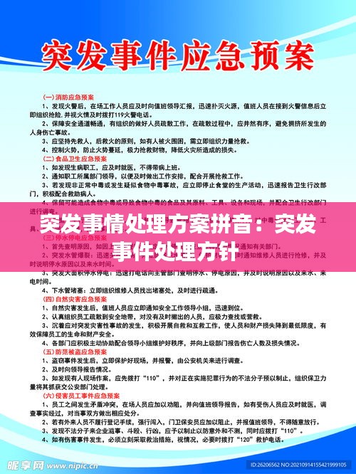 突发事情处理方案拼音：突发事件处理方针 