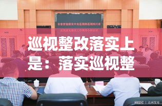 巡视整改落实上是：落实巡视整改中存在的问题 