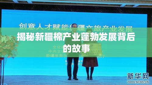 揭秘新疆棉产业蓬勃发展背后的故事