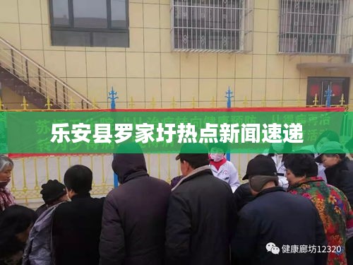 乐安县罗家圩热点新闻速递