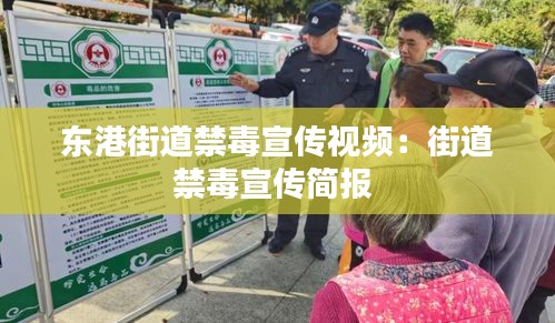 东港街道禁毒宣传视频：街道禁毒宣传简报 