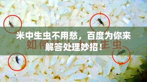 米中生虫不用愁，百度为你来解答处理妙招！