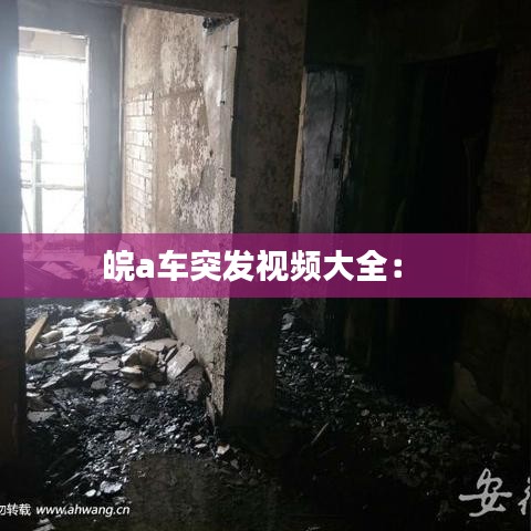 皖a车突发视频大全： 