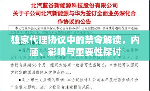 独家代理协议中的禁令解读，内涵、影响与重要性探讨