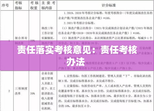 责任落实考核意见：责任考核办法 
