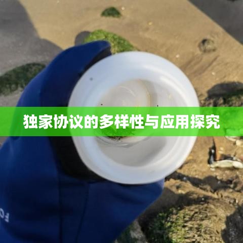 独家协议的多样性与应用探究