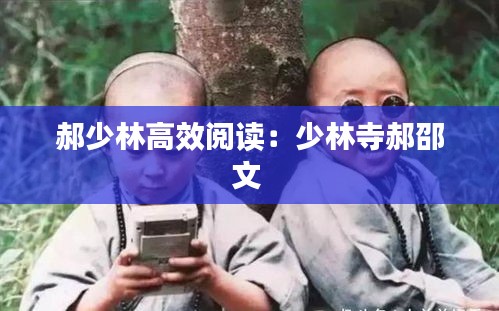 郝少林高效阅读：少林寺郝邵文 