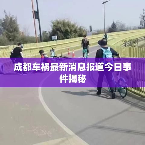 成都车祸最新消息报道今日事件揭秘