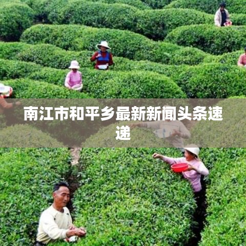 有气无力 第2页