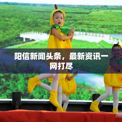 阳信新闻头条，最新资讯一网打尽