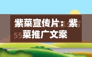 紫菜宣传片：紫菜推广文案 