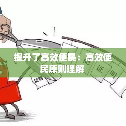 提升了高效便民：高效便民原则理解 