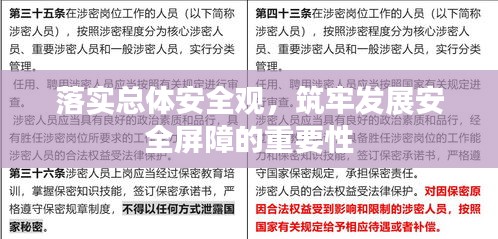 落实总体安全观，筑牢发展安全屏障的重要性