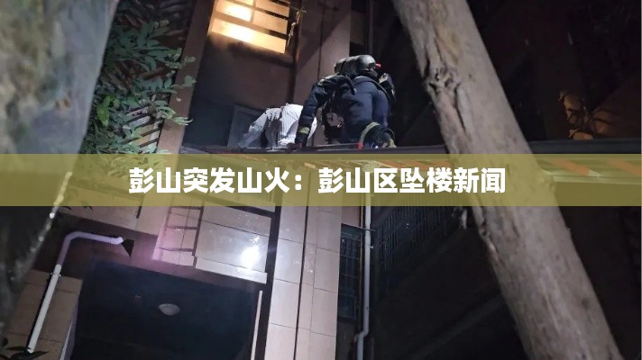 志在四方 第2页