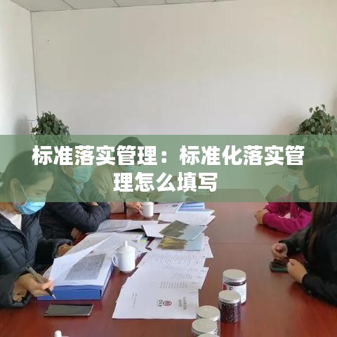 标准落实管理：标准化落实管理怎么填写 