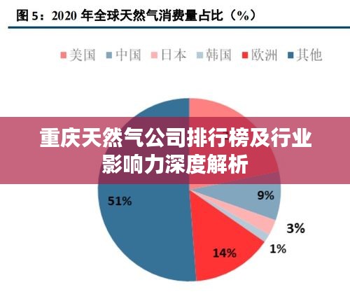 重庆天然气公司排行榜及行业影响力深度解析