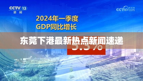 东莞下港最新热点新闻速递
