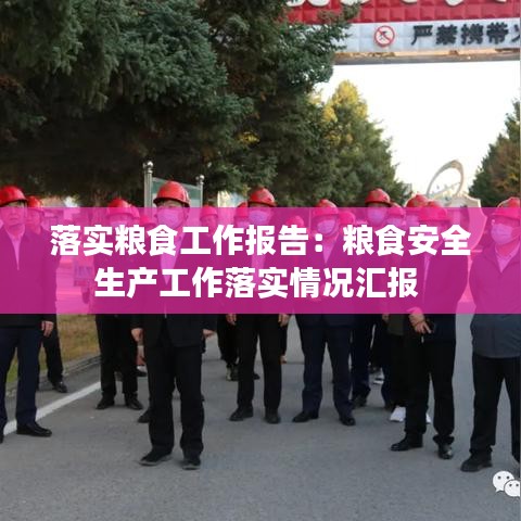 落实粮食工作报告：粮食安全生产工作落实情况汇报 
