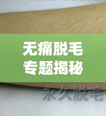 无痛脱毛专题揭秘，现代脱毛技术的革新与优势