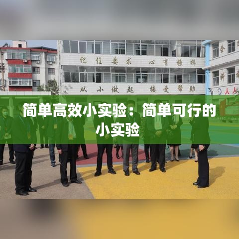 简单高效小实验：简单可行的小实验 