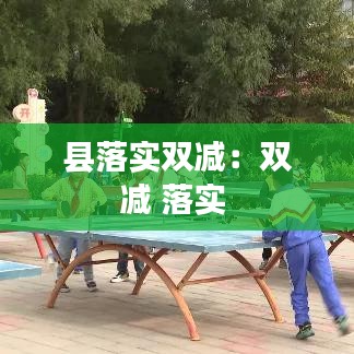 县落实双减：双减 落实 