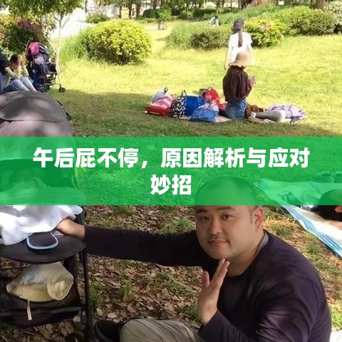 午后屁不停，原因解析与应对妙招