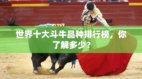 世界十大斗牛品种排行榜，你了解多少？