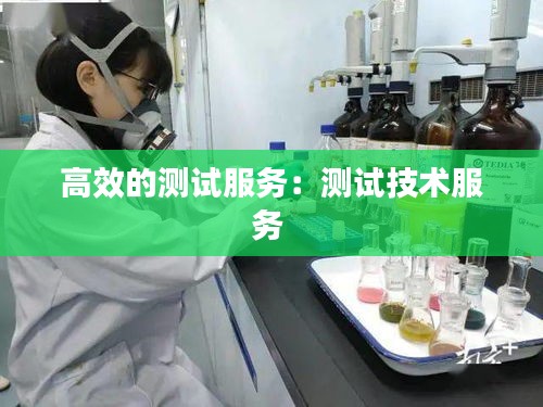 高效的测试服务：测试技术服务 