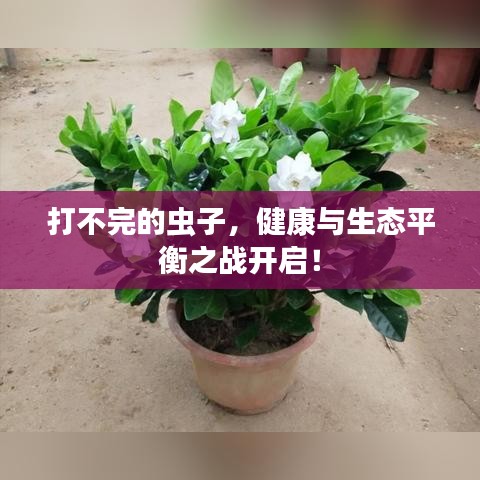 打不完的虫子，健康与生态平衡之战开启！